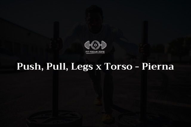 Push,Pull,Legs x Torso pierna – 77