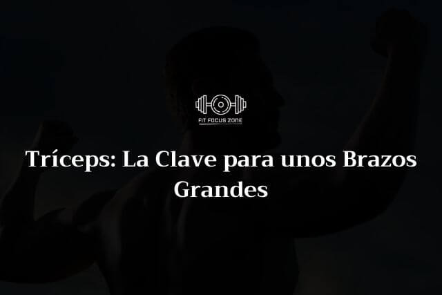 Tríceps: La clave para unos brazos grandes – 101