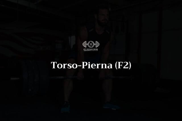 Torso – Pierna – 75